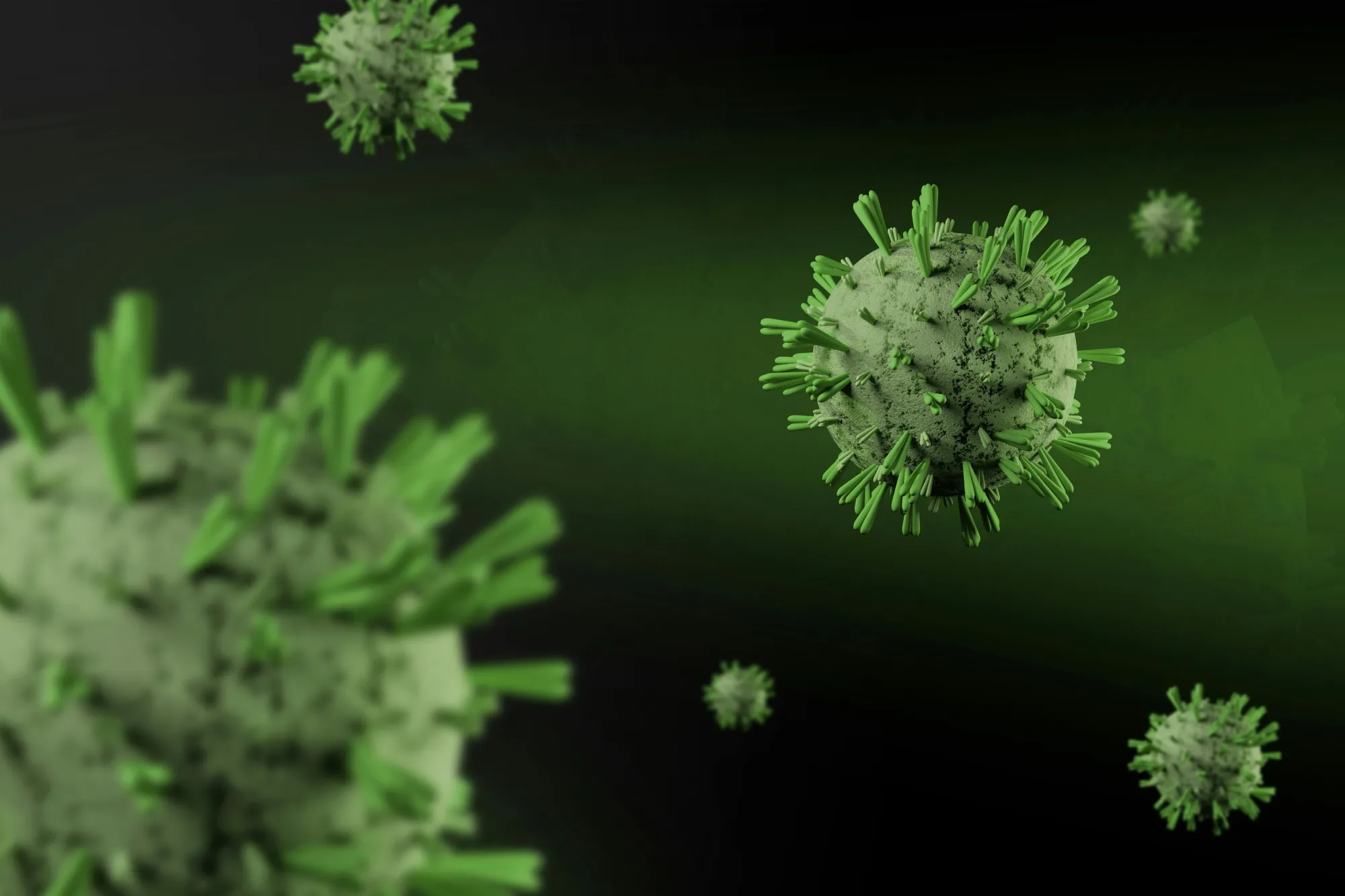 Cara Mencegah Hantavirus