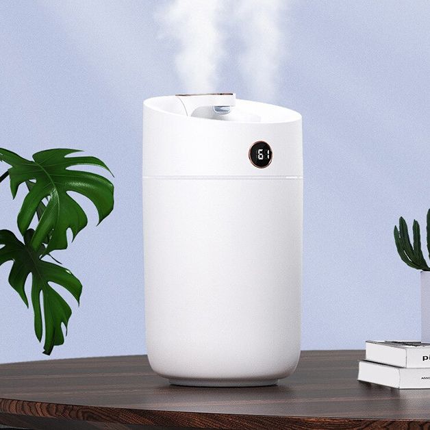 Humidifier, Dehumidifier, atau Air Purifier? Pilih yang Sesuai