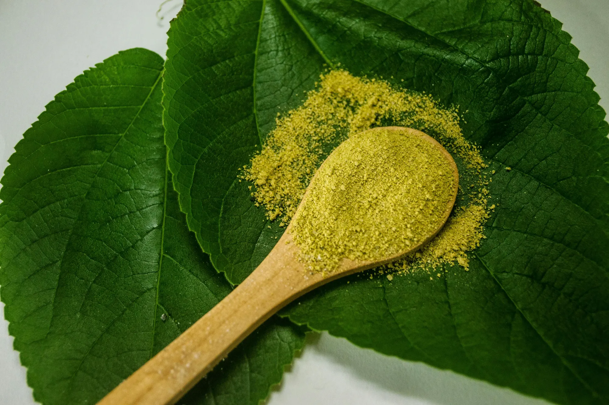 6 Perbedaan Matcha dan Green Tea, Mana yang Lebih Baik?