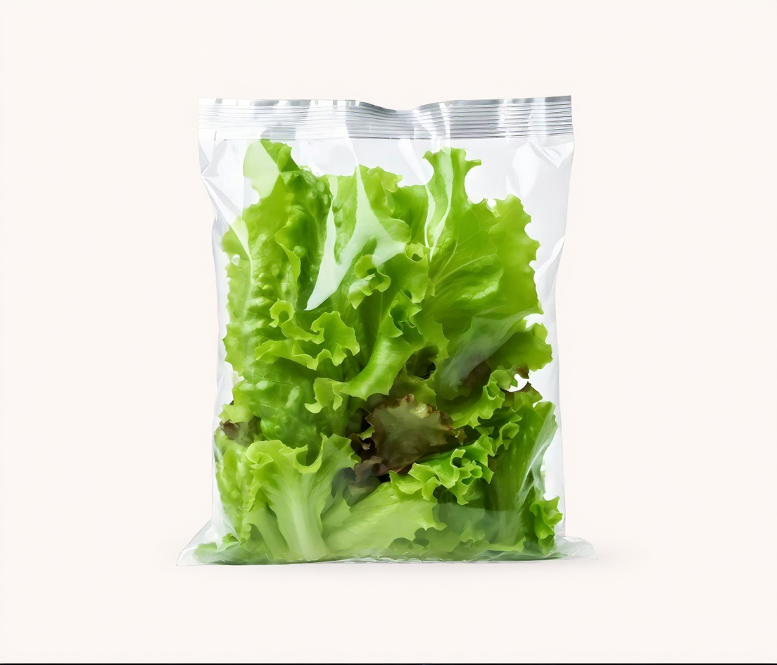 Tips Menggunakan Vacuum Sealer